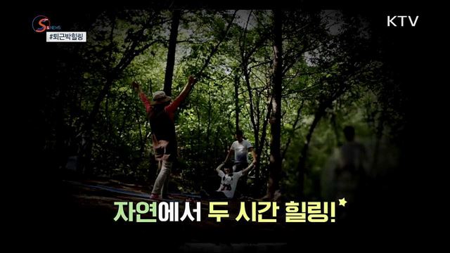 자연에서 두시간이면 힐링 끝 [S&News]