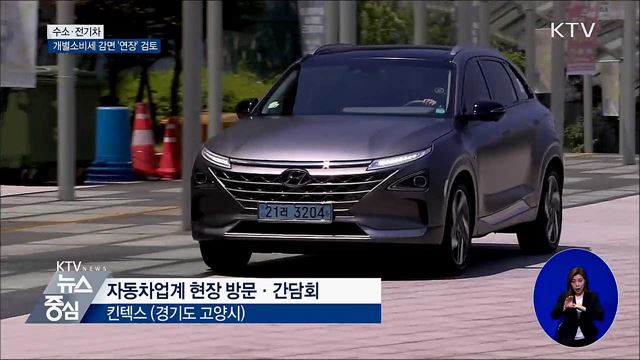 "수소·전기차 개별소비세 감면 연장 검토"