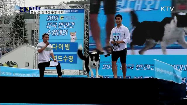 수영 실력 뽐내는 '반려견' 눈길 끌어