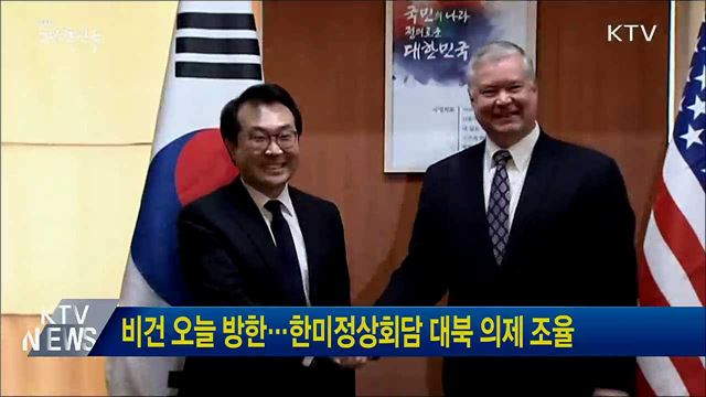 비건 오늘 방한···한미정상회담 대북 의제 조율