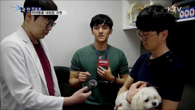 반려동물 '내장형칩'···만 원에 등록하세요