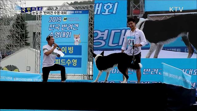 수영 실력 뽐내는 '반려견' 눈길 끌어