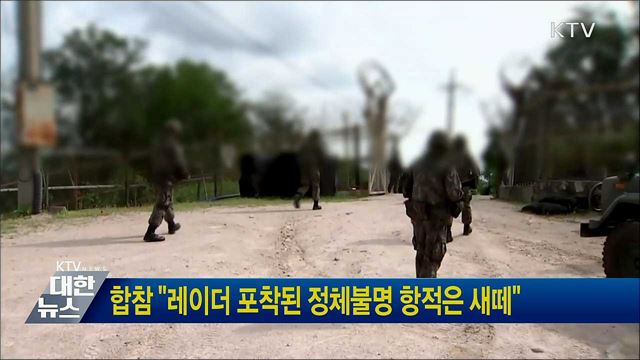 합참 "레이더 포착된 정체불명 항적은 새떼"