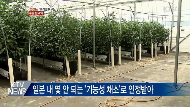 수출길 오른 '미래클 K 푸드' [현장in]