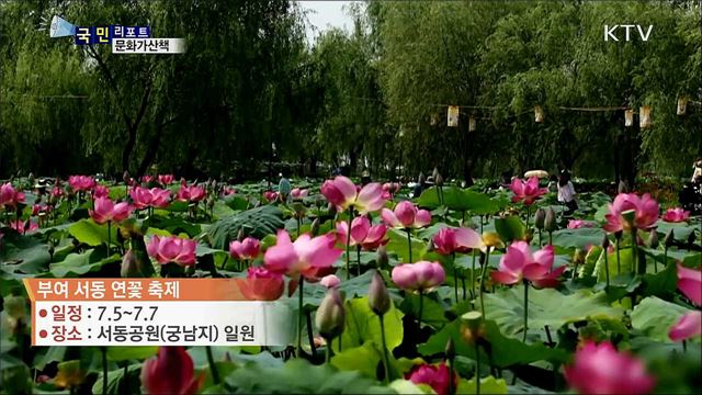 이주의 문화가 산책 (19. 07. 04. 07시)