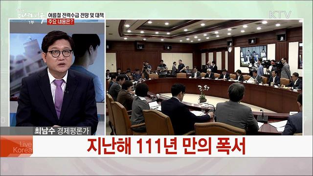 여름철 전력수급 전망과 대책은?