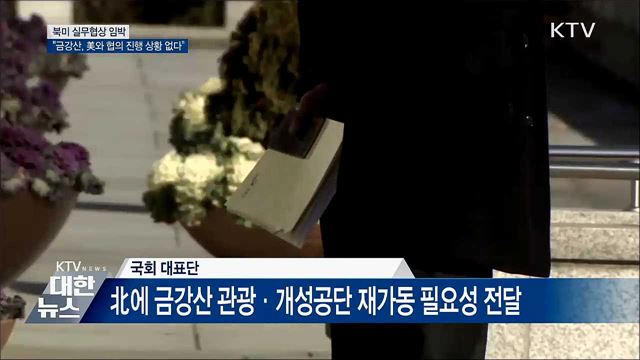 "금강산 관광 재개, 美와 협의 진행 상황 없다"