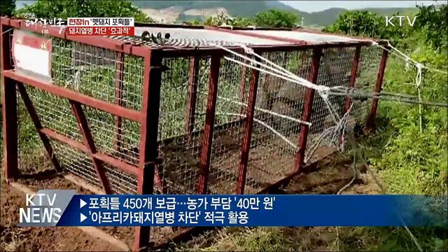 효과 좋은 '멧돼지 포획틀'···돼지열병 차단 [현장in]