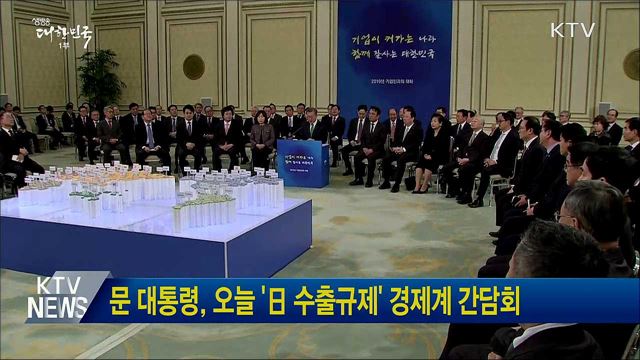 문 대통령, 오늘 '日 수출규제' 경제계 간담회
