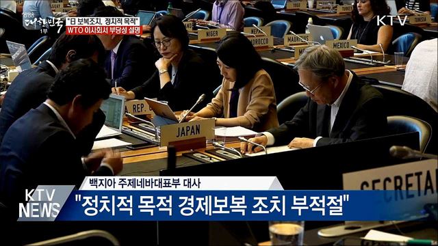 "日, 정치적 목적 경제보복"···WTO서 공론화
