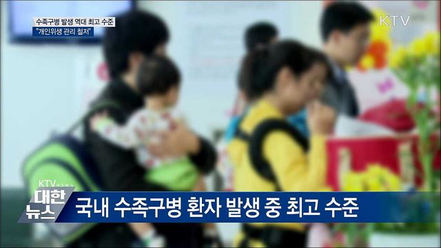 수족구병 발생 역대 최고 수준···"개인위생 관리 철저"