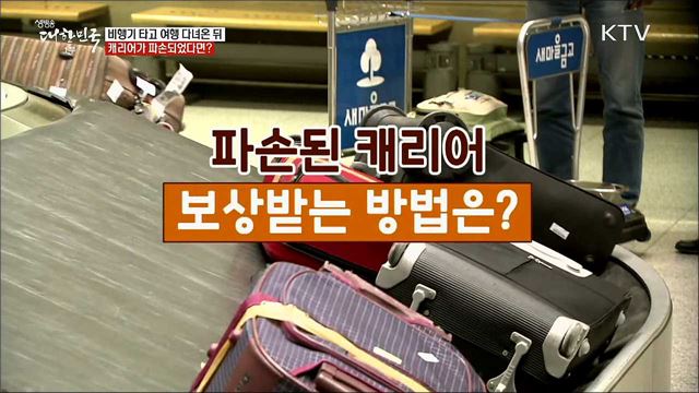 비행기 타고 여행 다녀온 뒤 캐리어가 파손되었다면? [정책톡! 돈이툭!]
