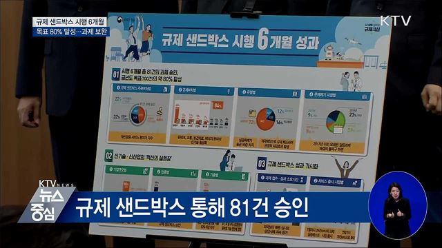 규제 샌드박스 시행 6개월···81건 승인