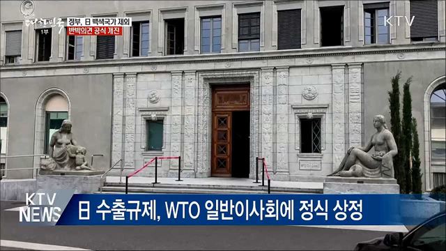 "日 백색국가 제외 반박 의견 개진"