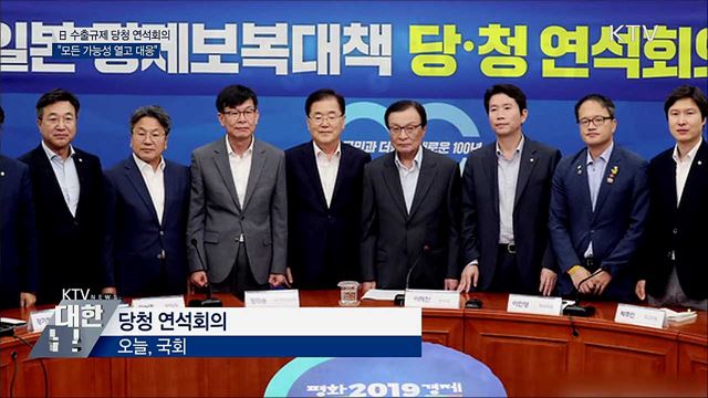 당청 "日 수출 규제 모든 가능성 열고 대응"