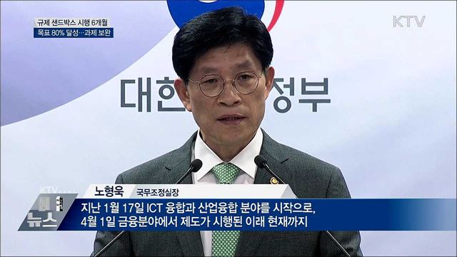 규제 샌드박스 시행 6개월···81건 승인