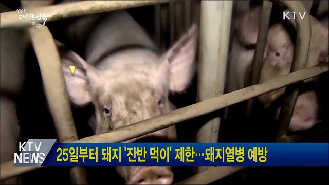 25일부터 돼지 '잔반 먹이' 제한···돼지열병 예방