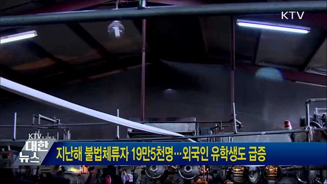 지난해 불법체류자 19만5천명···외국인 유학생도 급증