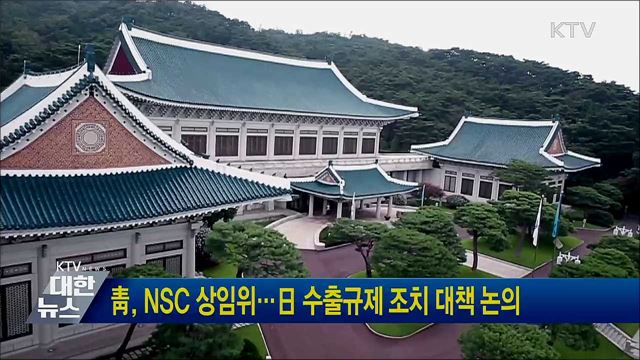 靑, NSC 상임위···日 수출규제 조치 대책 논의