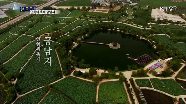 연꽃의 축제 궁남지 [한국의 美]