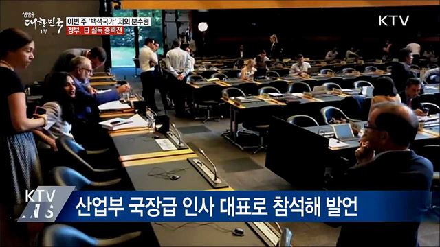 이번 주 '백색국가' 제외 분수령···日 설득 총력전