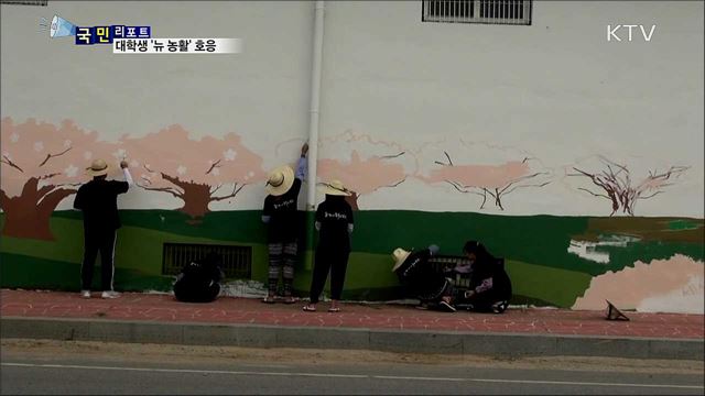 대학생 재능 활용 '뉴 농활' 호응 얻어