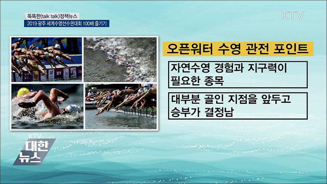 2019 광주 세계수영선수권대회 100배 즐기기 [똑똑한 정책뉴스]