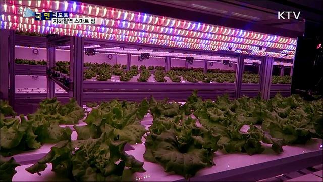 채소가 쑥쑥 자라요···지하철역 스마트 농장