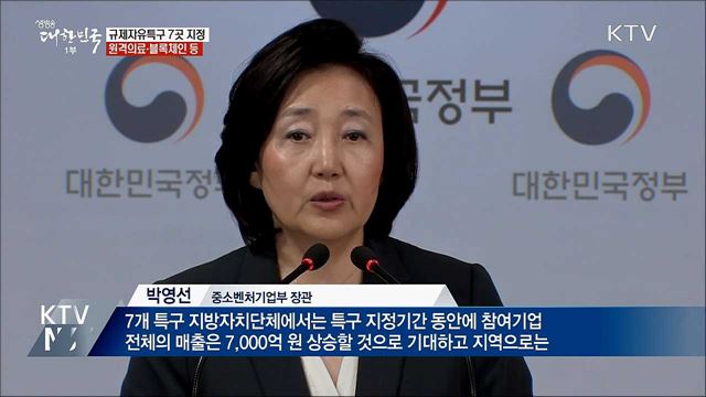 원격의료·블록체인 등 '규제자유특구' 7곳 지정