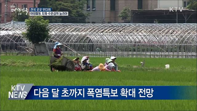 전국 곳곳 폭염특보···"야외활동 자제"