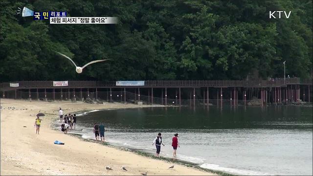 어촌 체험마을···피서지로 인기