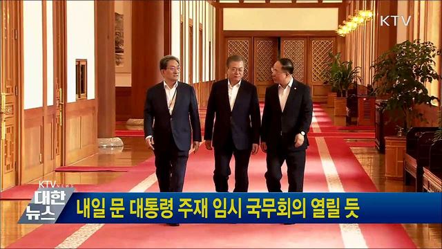 내일 문 대통령 주재 임시 국무회의 열릴 듯