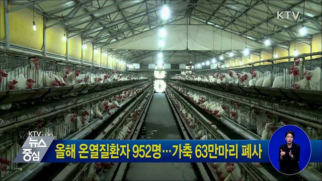 올해 온열질환자 952명···가축 63만마리 폐사