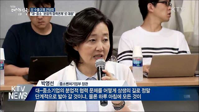 "대-중소 '분업적 협력'으로 日 수출규제 대응"