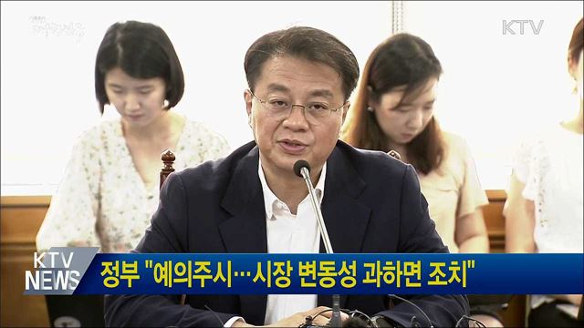 정부 "예의주시···시장 변동성 과하면 조치"