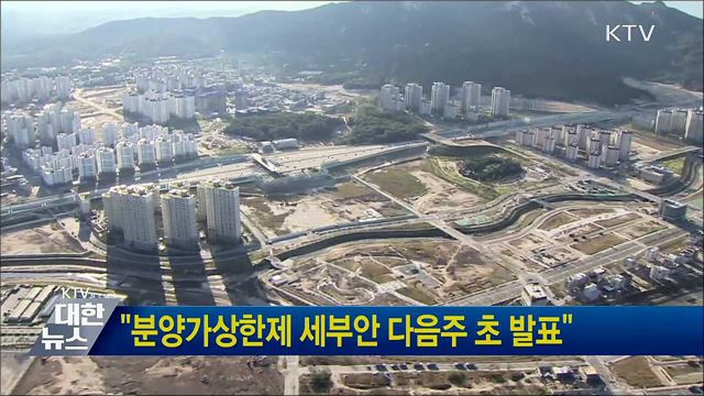 "분양가상한제 세부안 다음주 초 발표"
