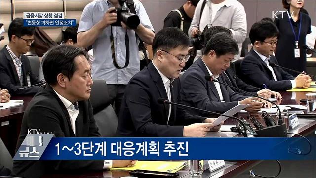 금융시장 상황 점검···"변동성 확대되면 과감한 안정조치"