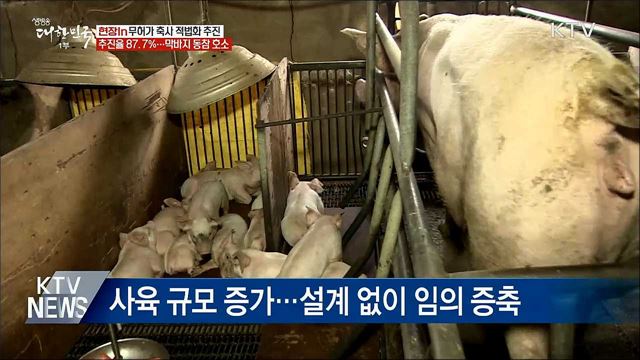 무허가 축사 '제로화'···적법화 절차 착착 [현장in]