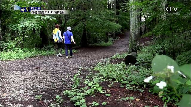 더위도 피로도 저만치···'편백숲 힐링' 인기