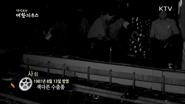 다시보는 대한늬우스 (81. 8. 13)