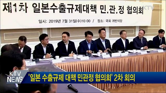 '일본 수출규제 대책 민관정 협의회' 2차 회의