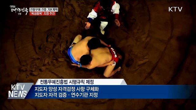 '전통무예 진흥 기본계획'···육성종목 지정 추진