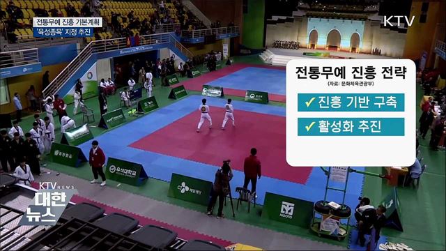 '전통무예 진흥 기본계획'···육성종목 지정 추진