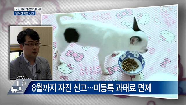 "반려동물 8월까지 등록해야"···어기면 과태료 [정책인터뷰]