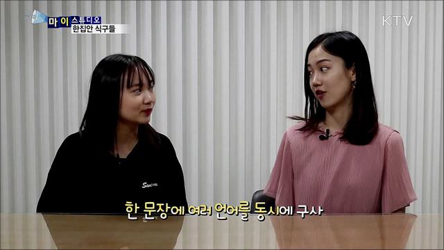 한집안 식구들 [마이스튜디오]