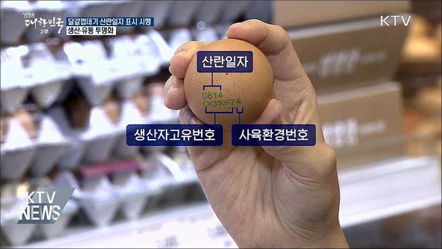 오늘부터 달걀 껍데기 산란일자 표시 시행