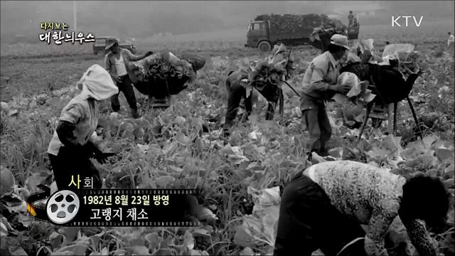 다시보는 대한늬우스 (82. 8. 23)