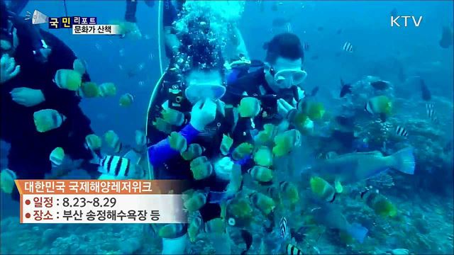 이주의 문화가산책