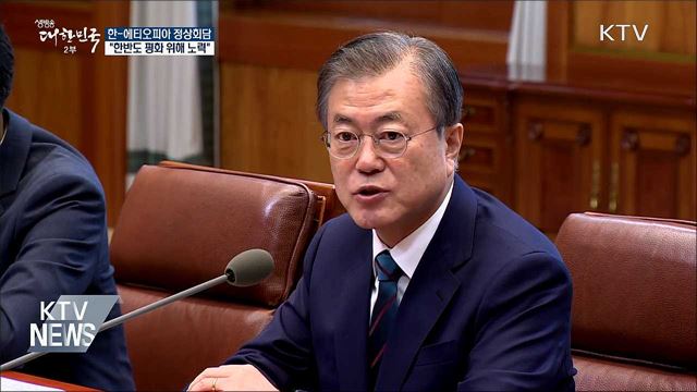 한-에티오피아 정상회담 "한반도 평화 노력"