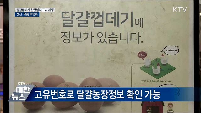 오늘부터 달걀 껍데기 산란일자 표시 시행